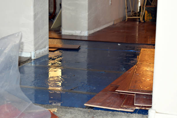 Professional Basement Flood Cleanup technician working in Reinholds, PA